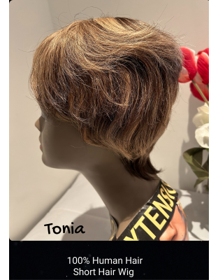 Hand Made Tonia Short High Human Hair Quality Wigs Beauty Color Shown Light Brown &amp; Black (Color As Shown)