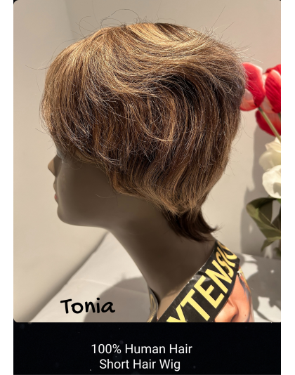 Hand Made Tonia Short High Human Hair Quality Wigs Beauty Color Shown Light Brown &amp; Black (Color As Shown)