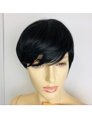 Short Human Wigs Beauty and Easy To Wear Black